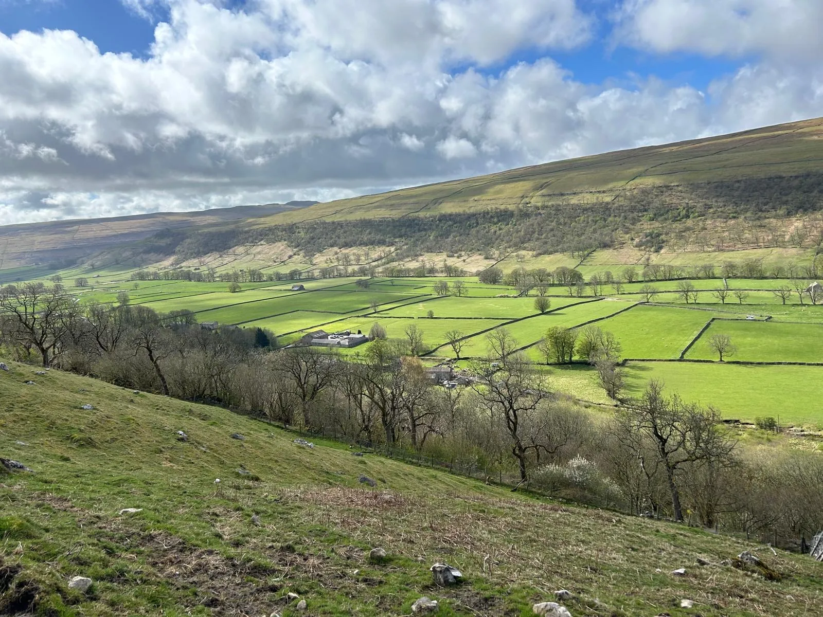 Wensleydale scenery on a private All Creatures Great & Small day tour
